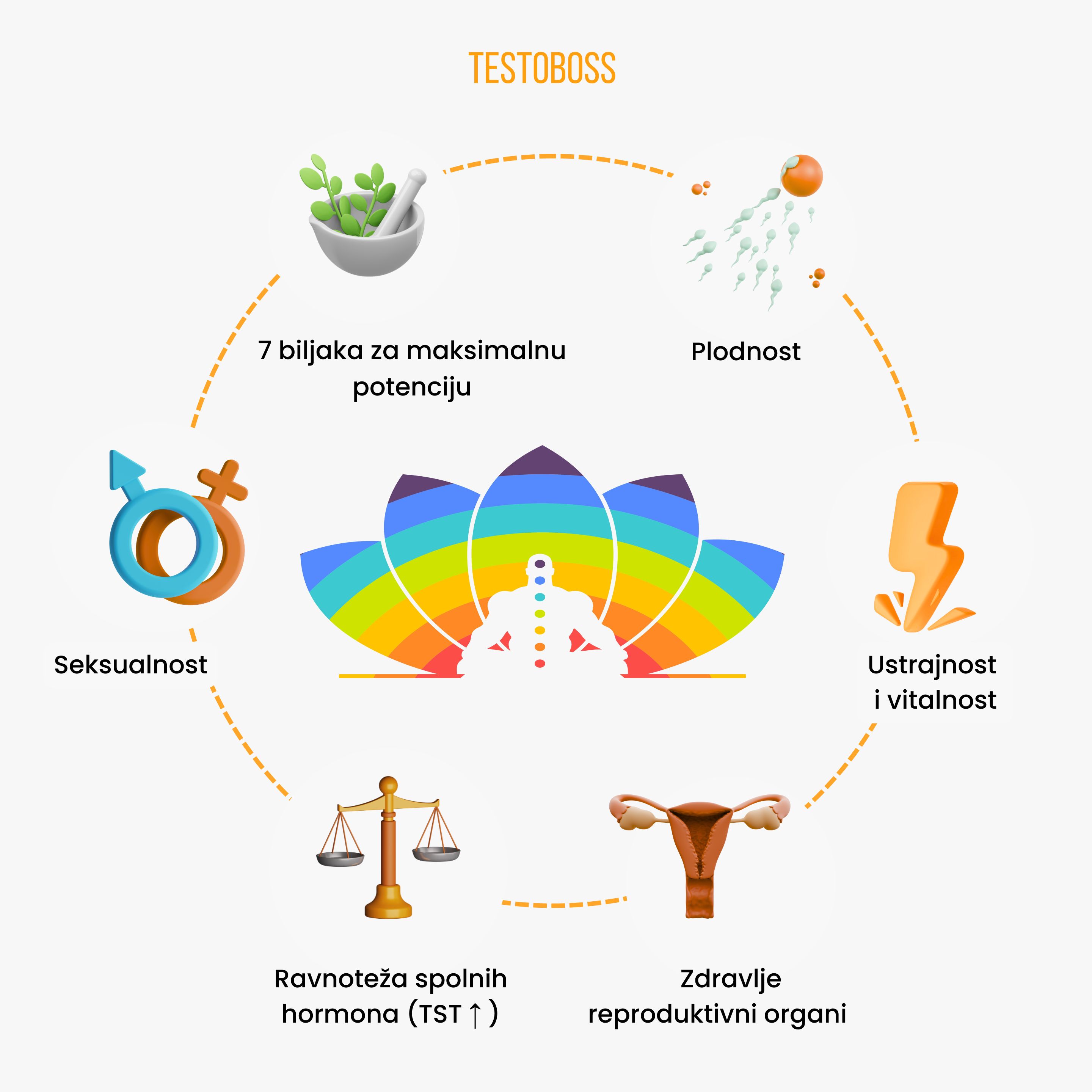 (Chorvatština) TESTOBOSS